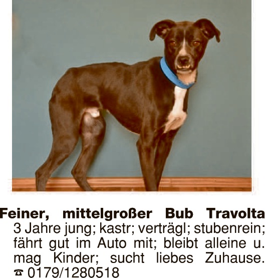 Sie sucht ihn amberg